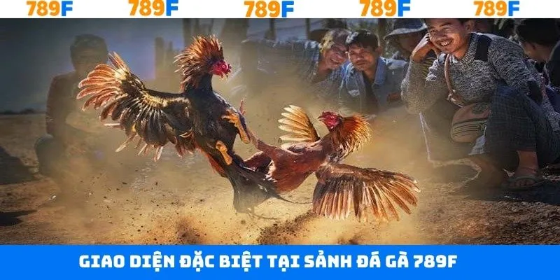 Đồ họa được thiết kế trực quan trong đá gà 789F