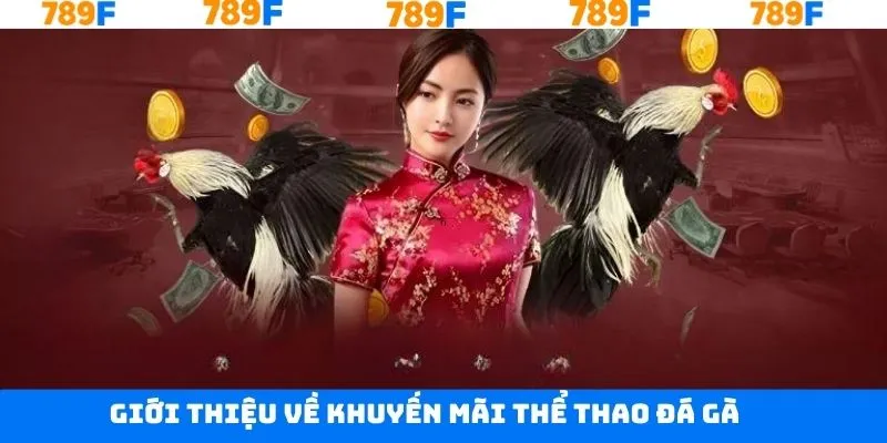 Giới thiệu chương trình khuyến mãi tại sân chơi 789F