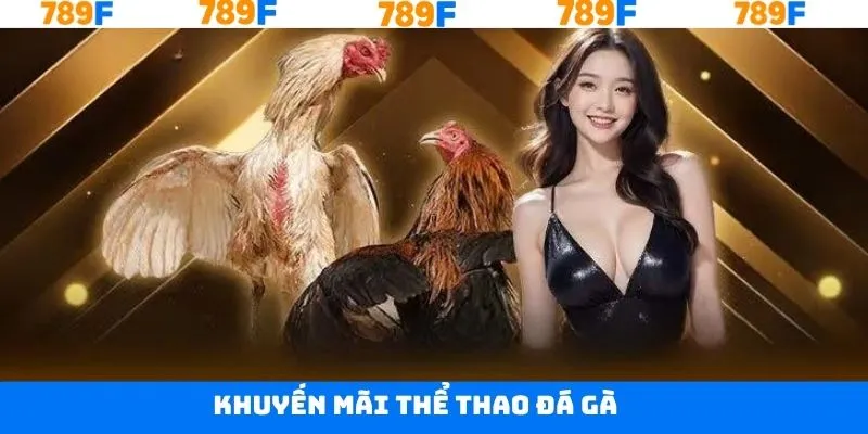 Khuyến Mãi Thể Thao Đá Gà - Cơ Hội Nhận Thưởng Tại 789F 1 Khuyến Mãi Thể Thao Đá Gà - Cơ Hội Nhận Thưởng Tại 789F