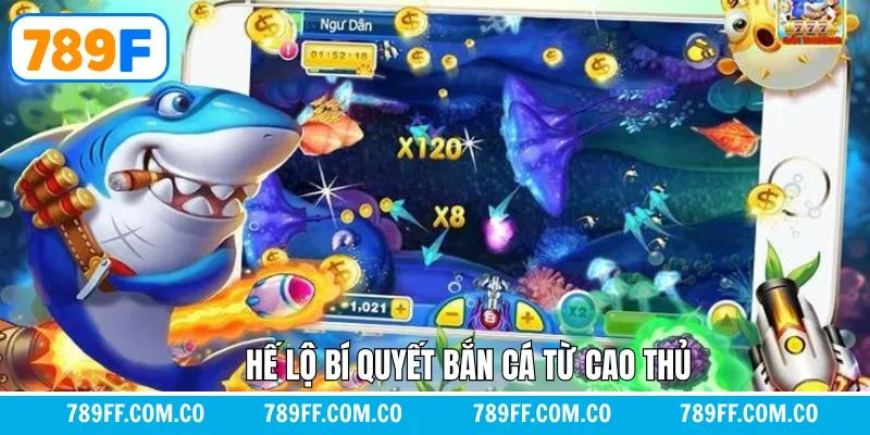 Hé lộ bí quyết bắn cá nâng cao giúp hội viên chiến thắng