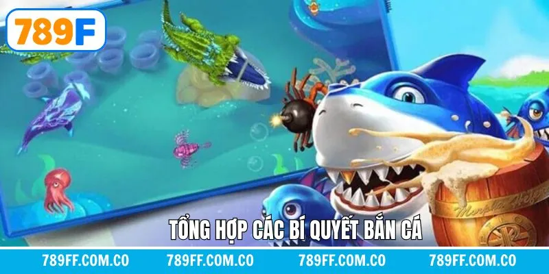 Những kinh nghiệm quý giá khi tham gia săn cá online